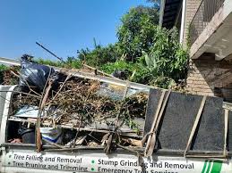 Best Same-Day Junk Removal Services  in Friona, TX
